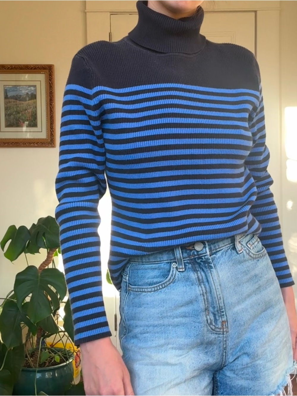 Liz Claiborne Striped Turtleneck Sweater - Blue & Black